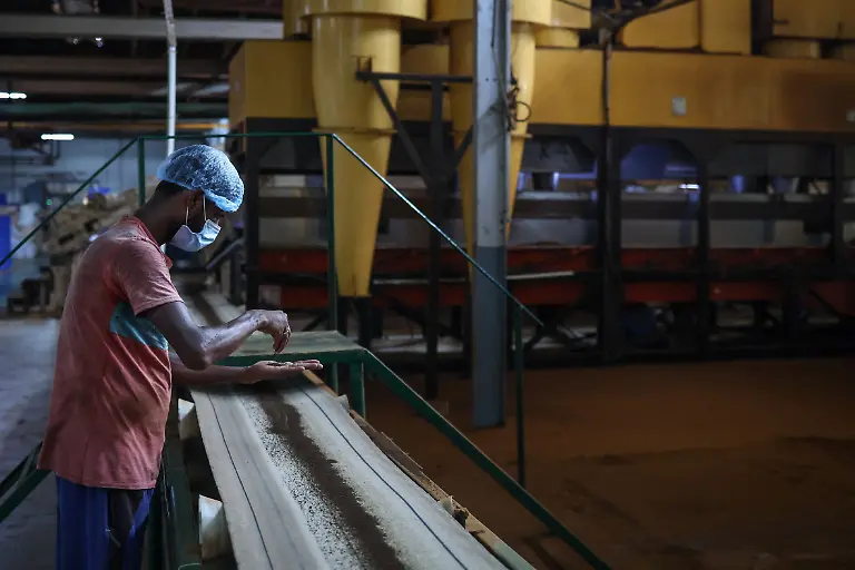 2025-09-04T080307Z-1648740765-RC26TFAFPHL8-RTRMADP-3-INDIA-TEA-SUPPLY