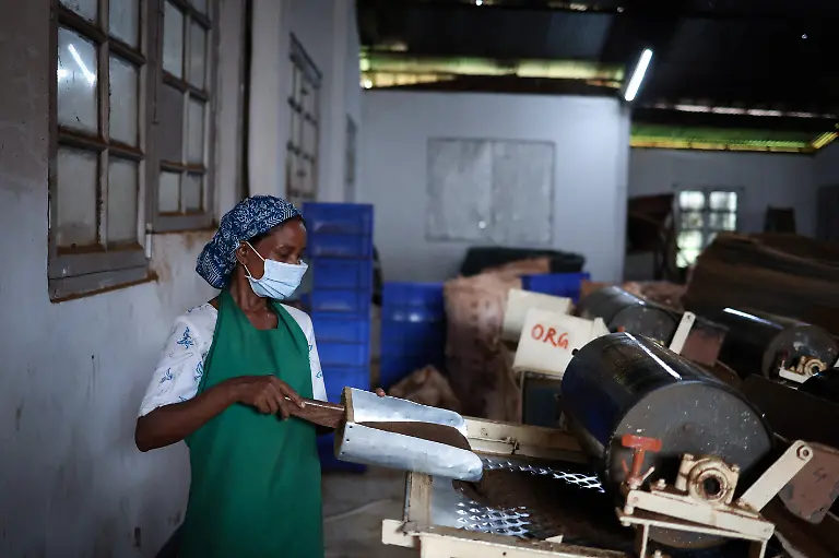 2025-09-04T080318Z-860563882-RC2SSFANWNFO-RTRMADP-3-INDIA-TEA-SUPPLY