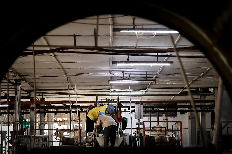 2025-09-04T080316Z-2082026575-RC2SSFACK9C1-RTRMADP-3-INDIA-TEA-SUPPLY