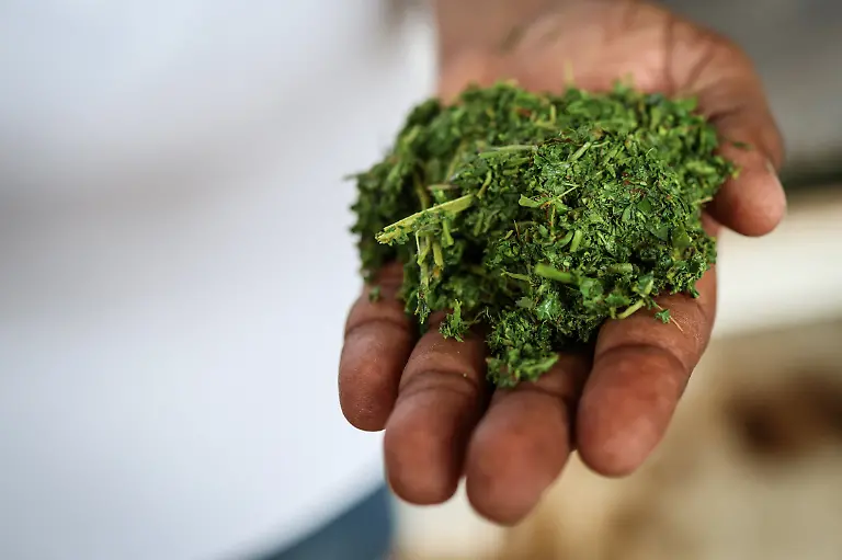 2025-09-04T080319Z-736790815-RC2RSFATMBWP-RTRMADP-3-INDIA-TEA-SUPPLY