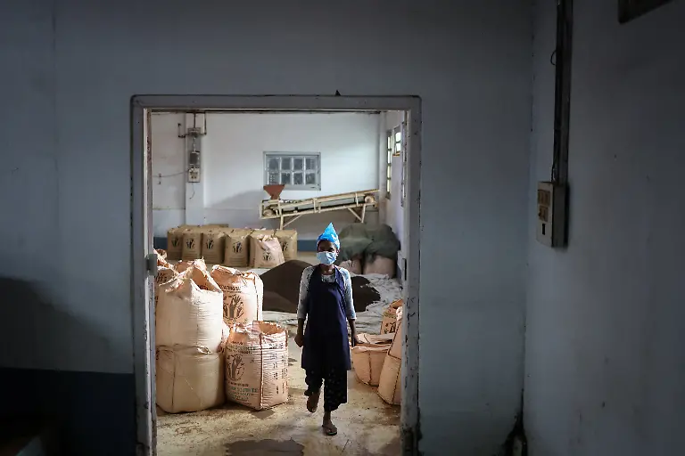 2025-09-04T080321Z-1362998644-RC2SSFA816V8-RTRMADP-3-INDIA-TEA-SUPPLY