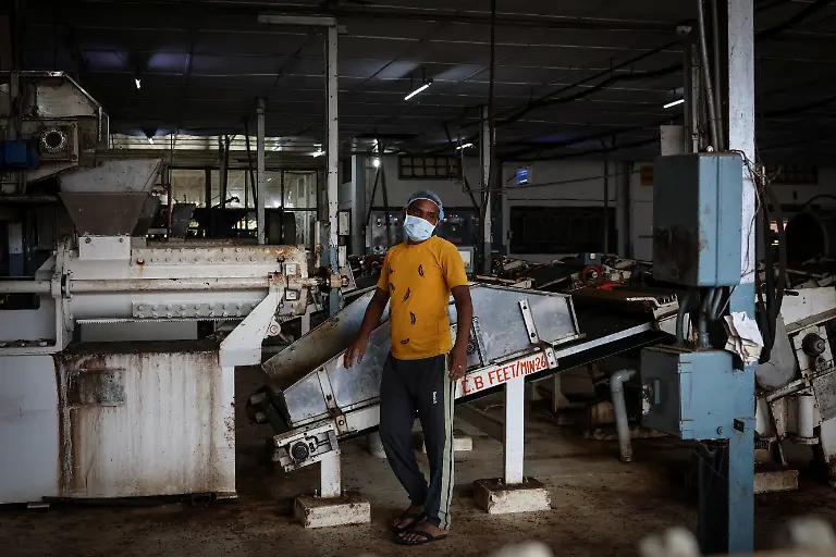 2025-09-04T080324Z-1909203735-RC26TFALT97D-RTRMADP-3-INDIA-TEA-SUPPLY