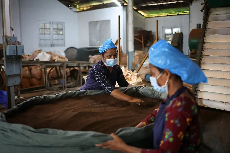 2025-09-04T080323Z-358227087-RC2SSFAOIJ3L-RTRMADP-3-INDIA-TEA-SUPPLY