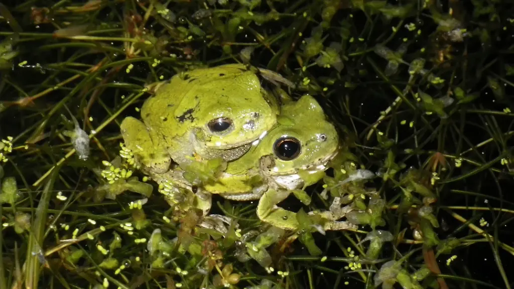 nicht-weiterverwenden