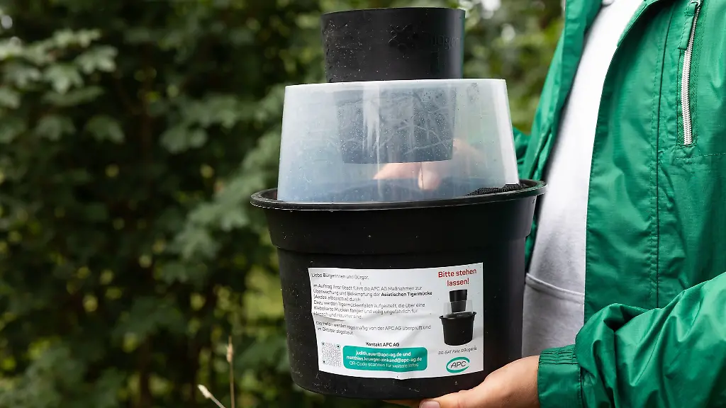 Nach-dem-Auftreten-der-Asiatischen-Tigermuecke-in-Dresden-werden-nun-aufgestellte-Fallen-untersucht