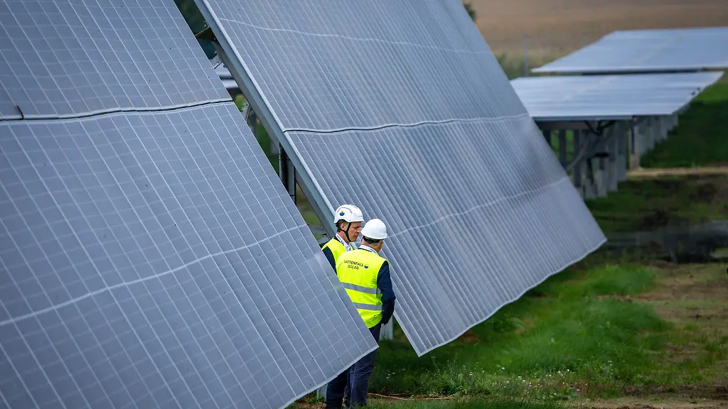 Im-grossen-Stil-soll-eine-Anlage-in-Mecklenburg-Vorpommern-Stromerzeugung-und-Landwirtschaft-verbinden
