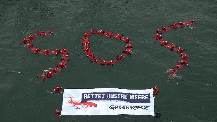 Rund 50 Greenpeace-Aktivisten bilden in der Ostsee vor Fehmarn schwimmend das internationale Seenotkürzel.