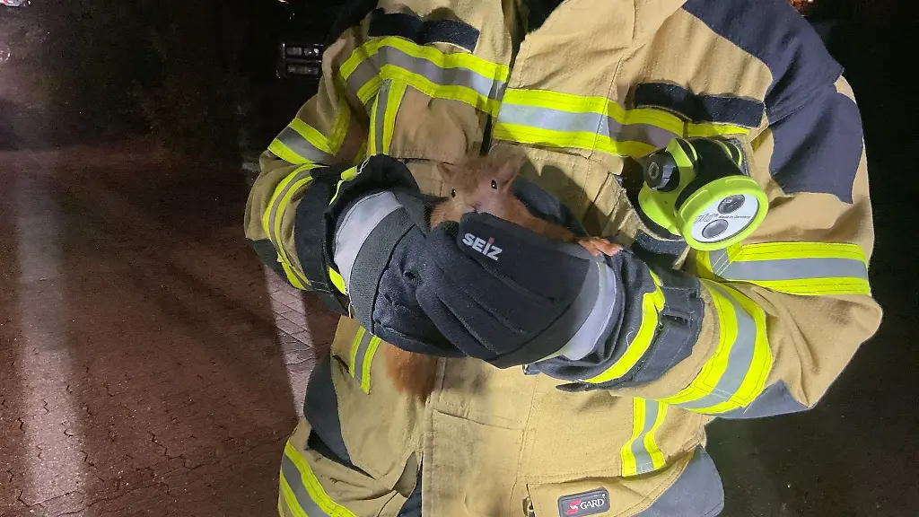 Ein-Feuerwehrmann-haelt-ein-gerettetes-Eichhoernchen-in-den-Haenden-Das-Tier-war-in-einem-Dach-steckengeblieben
