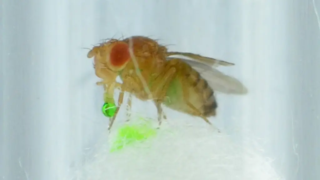 Nicht-weiterverwenden