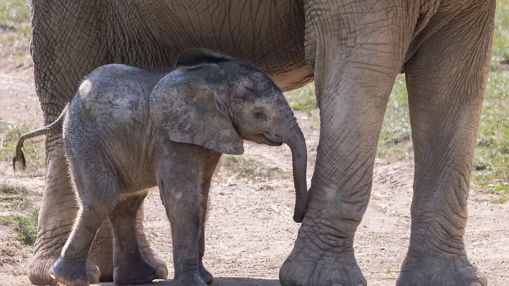 Kaja-war-Ende-Mai-geboren-worden