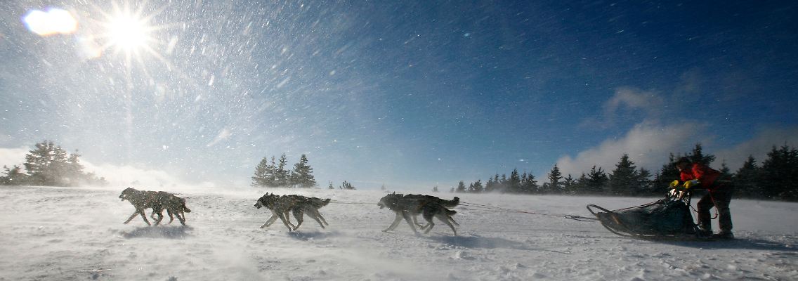 Der Dax hat die 6000er Marke verteidigt: Jetzt schnell die Hunde vor den Schlitten spannen und ab nach Hause.