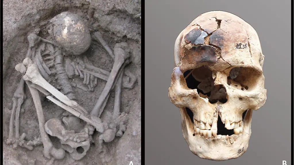 epi-1001517360-DPA-BF-x6uyshfptv-v7-ax-ms6144-jpg-Fruehester-Nachweis-v