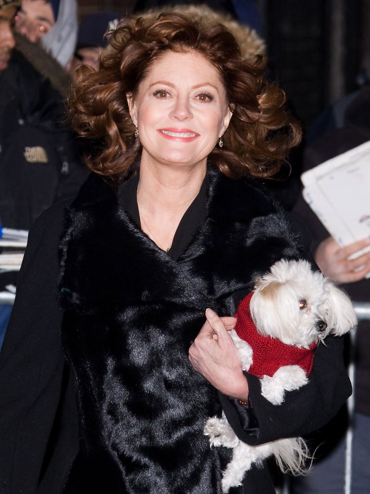 Susan Sarandon auf dem Weg zu David Letterman.