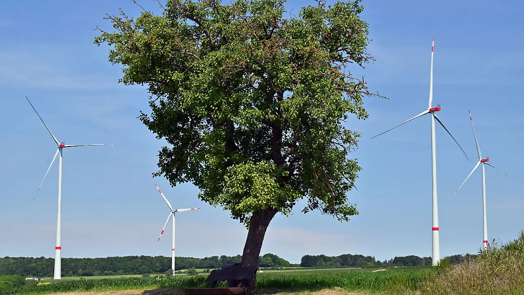 Rueckbau-von-Windraedern-in-Thueringen-jetzt-geregelt