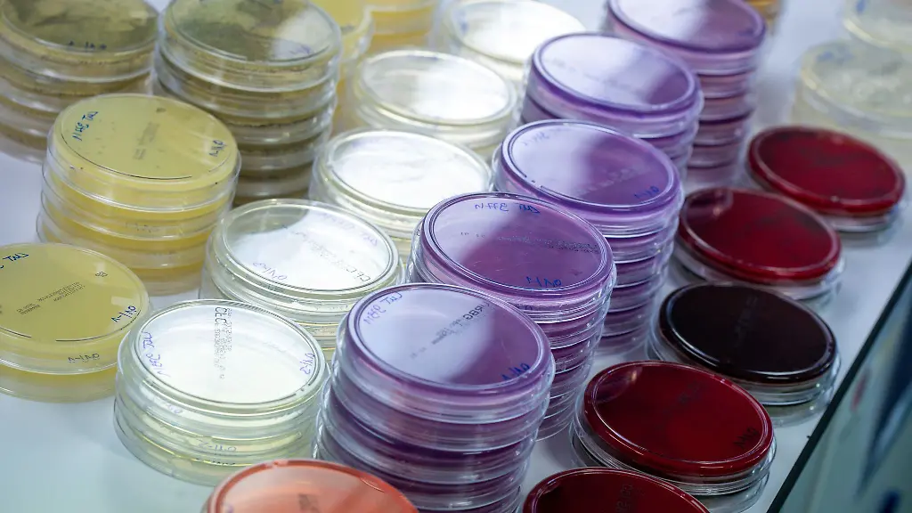 In-den-Labors-laeuft-die-Suche-nach-moeglicherweise-kontaminierten-Lebensmitteln-die-Ursache-des-aktuellen-Ehec-Ausbruchs-in-Mecklenburg-Vorpommern-sein-koennten