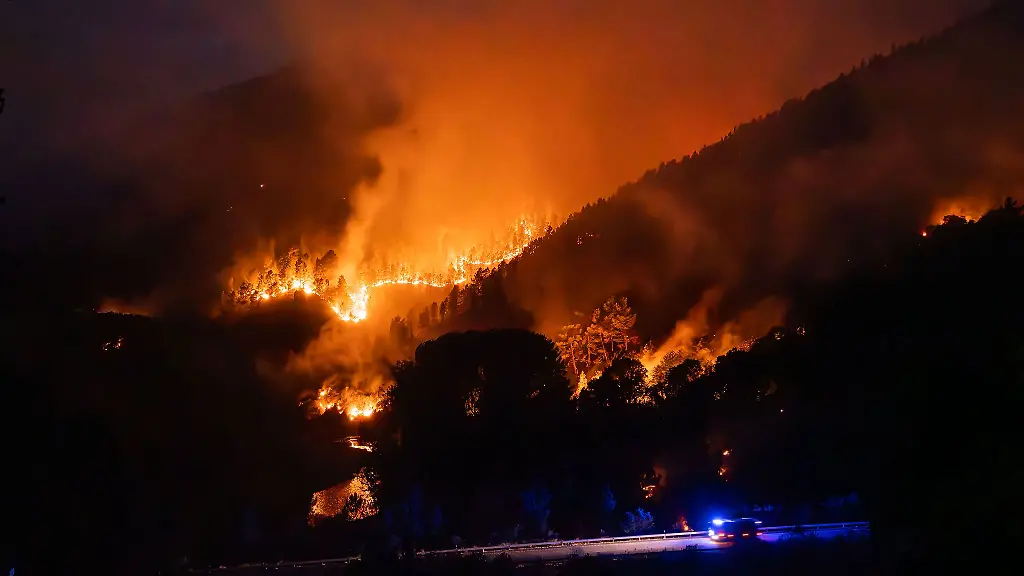 Waldbraende-verursachen-hohe-Kohlenstoff-Emissionen