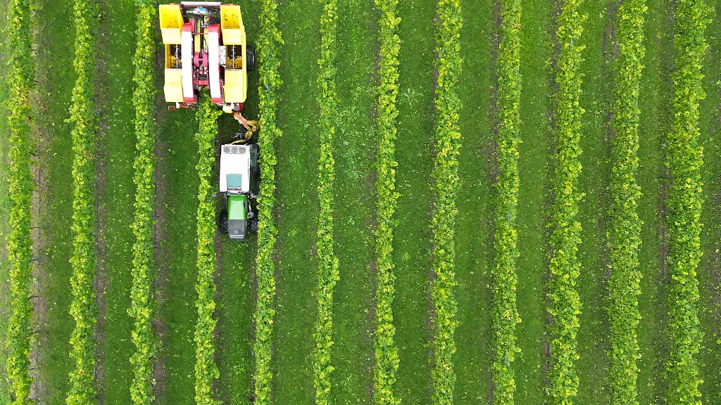 Sonnenschein-pur-In-Baden-Wuerttemberg-zeigt-sich-der-September-am-Freitag-von-seiner-goldenen-Seite