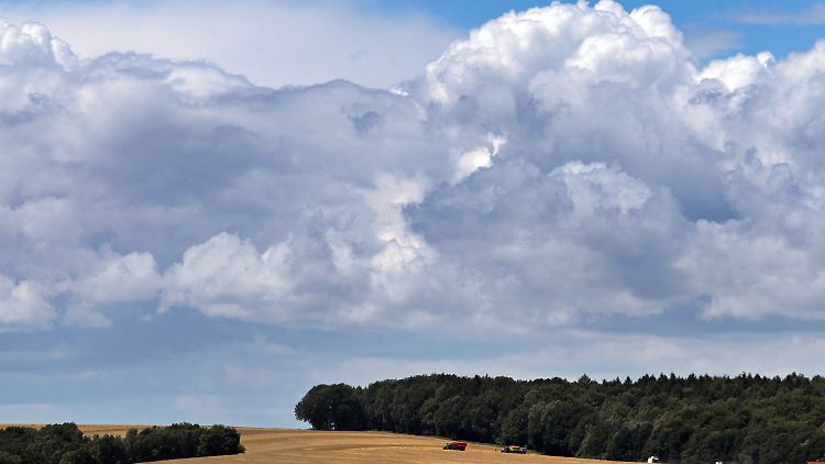 Die Aussichten bleiben trüb.