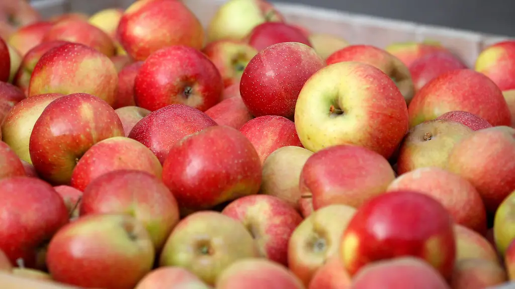 Das-Angebot-ist-gross-Aepfel-aus-Nordrhein-Westfalen