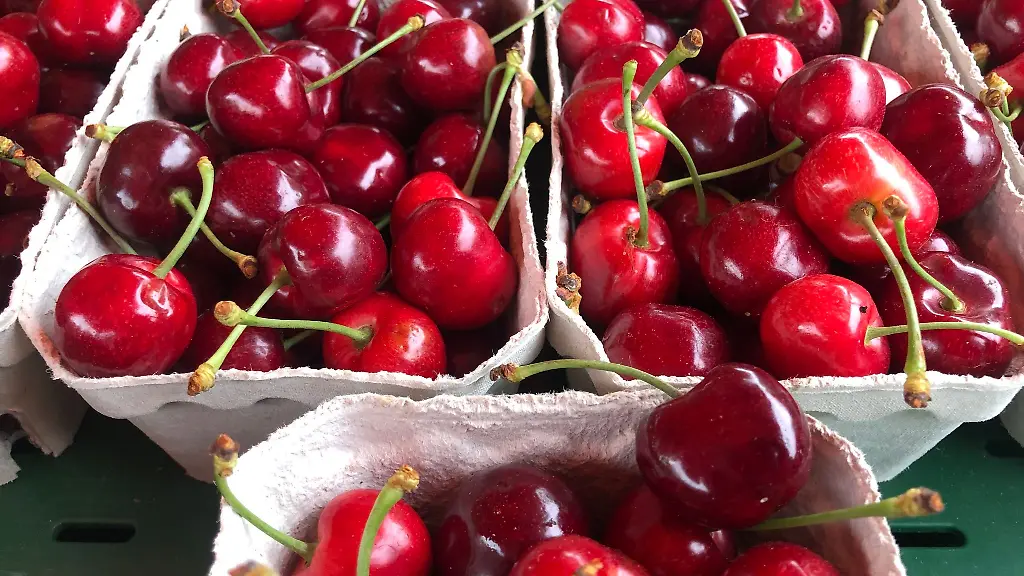 Die-Kirschernte-in-Thueringen-war-in-diesem-Jahr-ertragreich