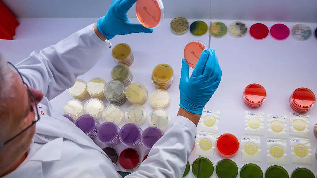 Labormediziner-sind-den-EHEC-Erregern-auf-der-Spur