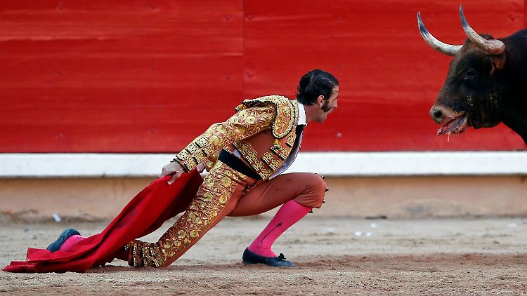 Der Torero hat seinen Ruhm, der Stier nicht.
