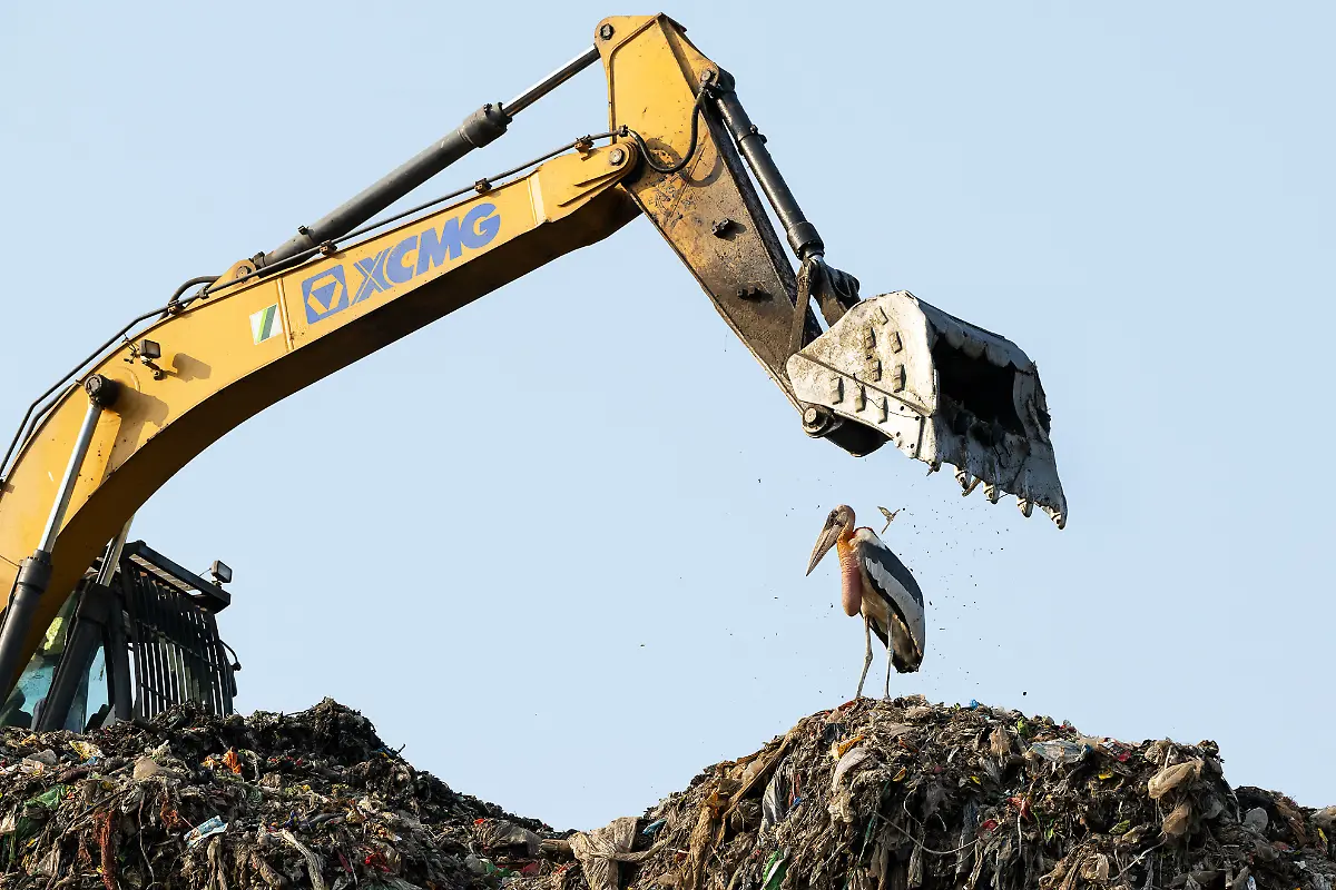 Bronze-Conservation-Single-Image