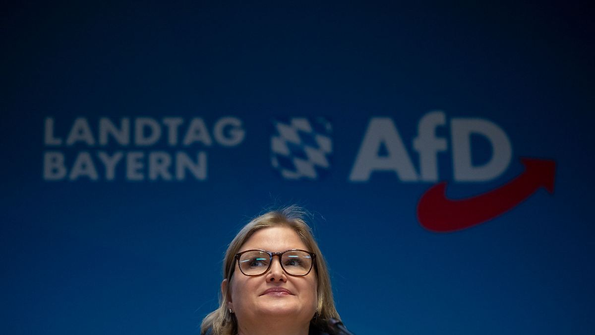 BayernAfD will pro Jahr nur noch 500 Einbürgerungen in Bayern