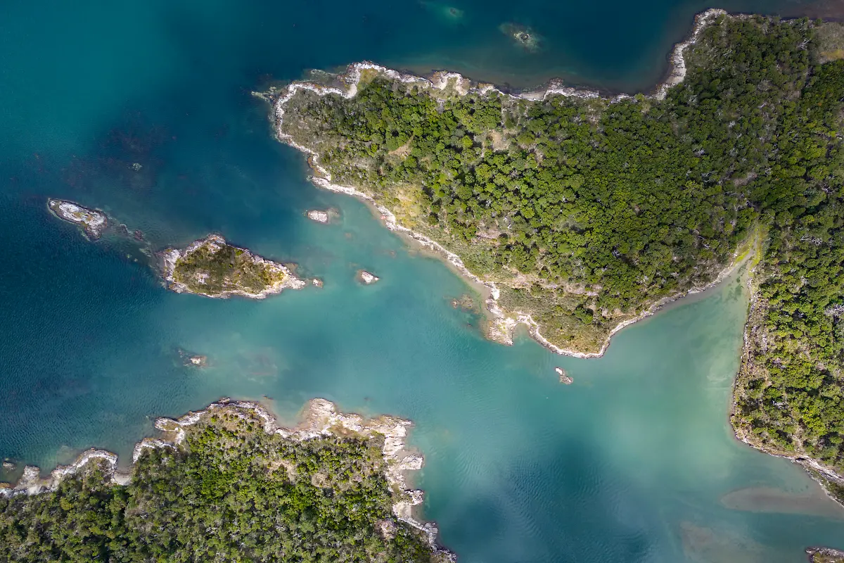 Bild-02-von-60-Mini3-2025-02-08-017