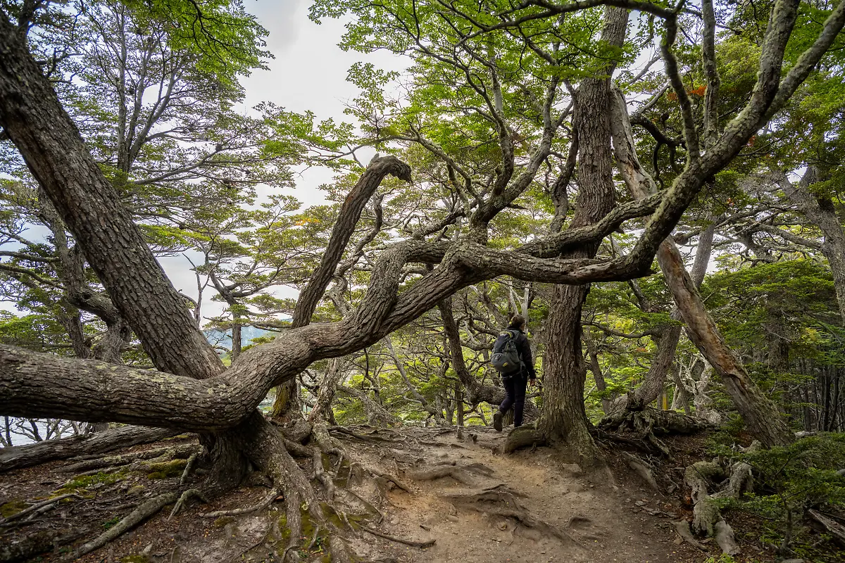 Bild-04-von-60-SM-2025-02-08-043