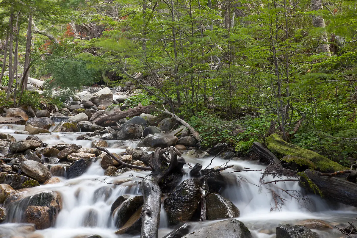 Bild-06-von-60-2012-01-15-003