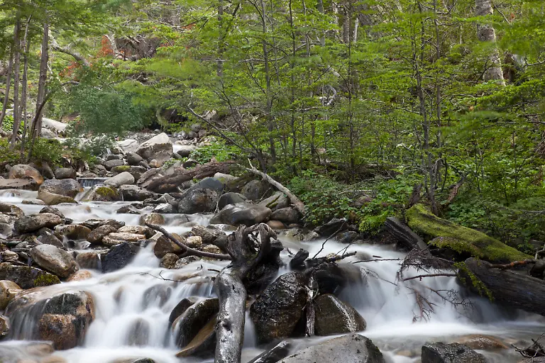 Bild-06-von-60-2012-01-15-003