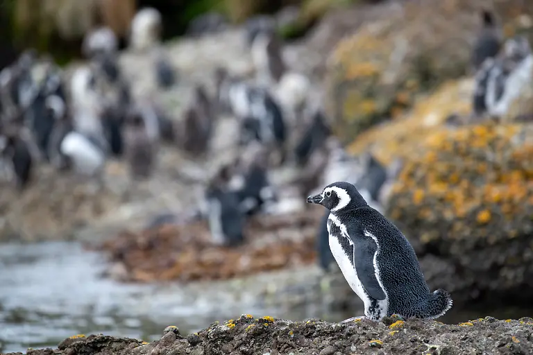 Bild-34-von-60-SM-2025-02-05-057