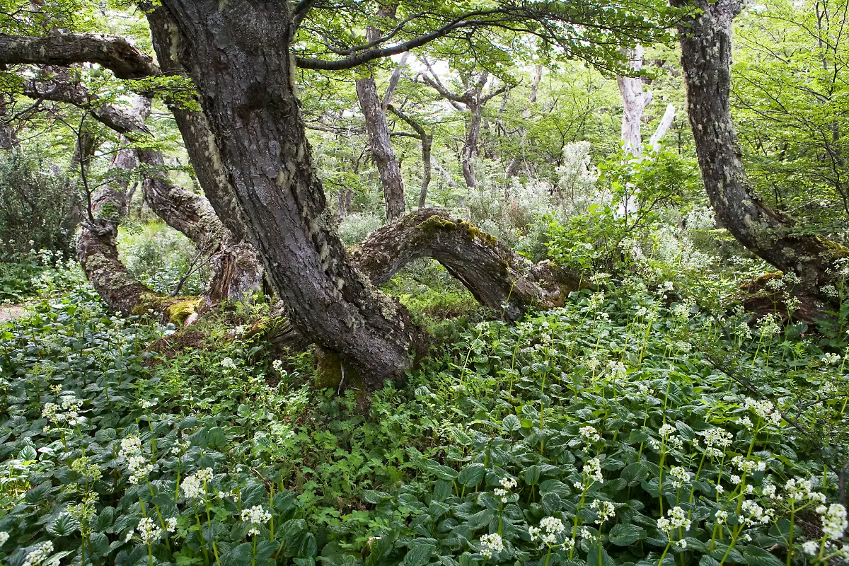 Bild-38-von-60-2010-01-27-032