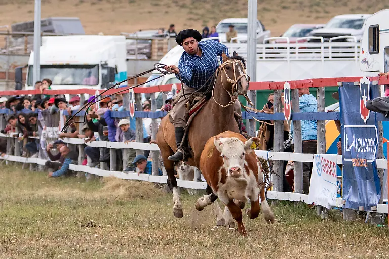 Bild-41-von-60-SM-2025-02-01-035