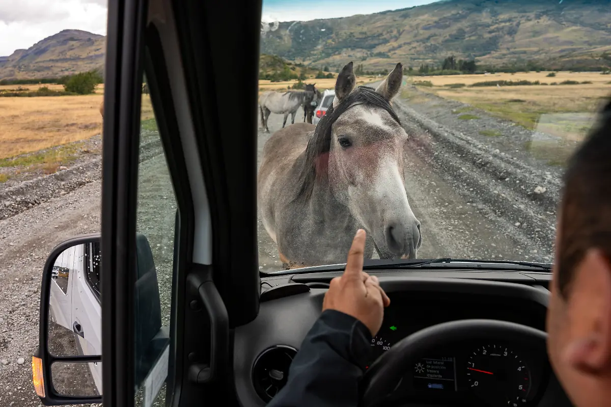 Bild-46-von-60-SM-2025-02-03-002