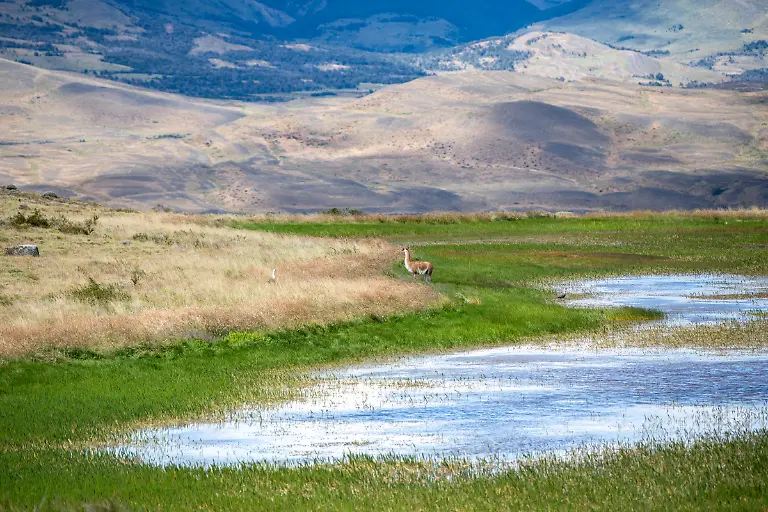 Bild-51-von-60-SM-2025-02-02-015