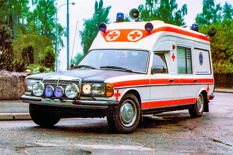 10-Fahrgestelle-fur-alle-Falle-die-Baureihe-123-eignete-Quelle-Mercedes-Benz-Classic-Archive