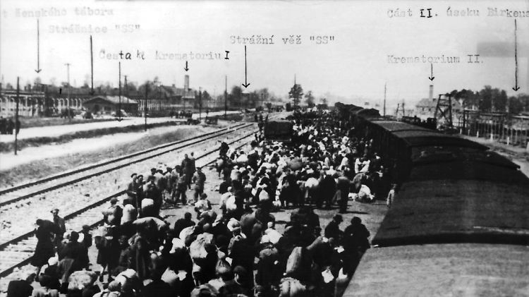 Rund 1,1 Millionen Menschen werden in Auschwitz umgebracht - die meisten von ihnen Juden.