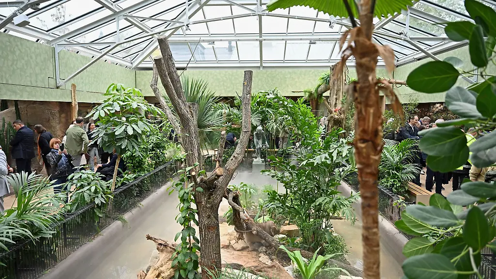 Nach-umfangreicher-Sanierung-oeffnet-das-Terrarium-im-Leipziger-Zoo-wieder-fuer-Gaeste