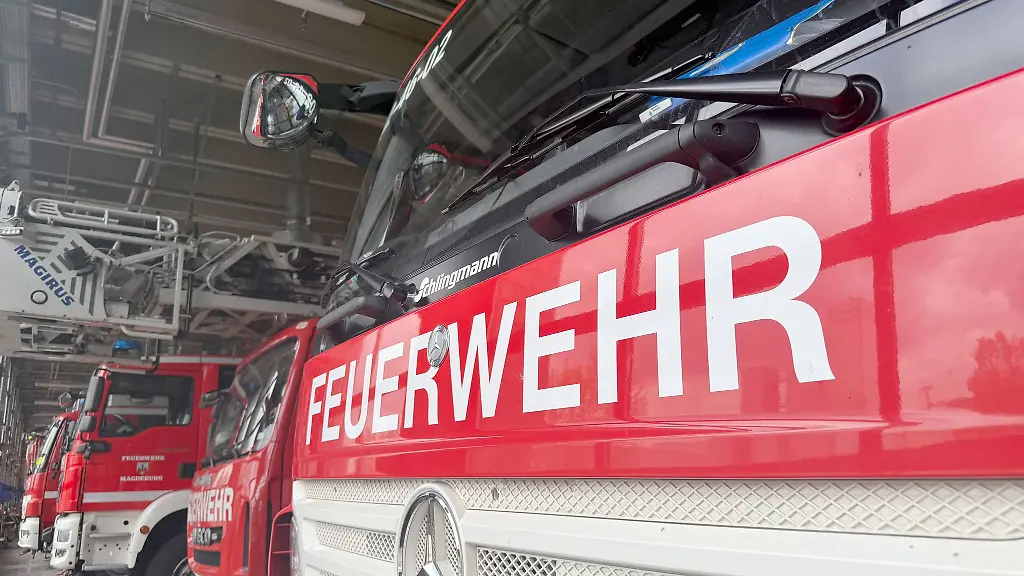 Zunaechst-war-unklar-warum-das-Auto-der-Fahrerin-auf-die-Gegenfahrbahn-geriet