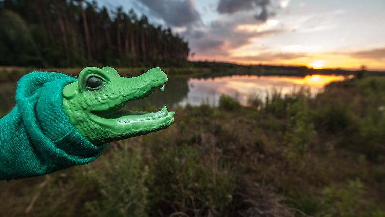 Der oberbayrische Badesee kann nur mit einer Krokodil-Handpuppe aufwarten.