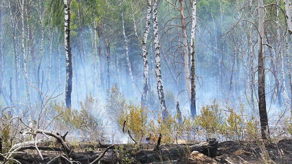 In-der-ersten-Juli-Woche-brach-auf-dem-ehemaligen-Truppenuebungsplatz-bei-Jueterbog-ein-Waldbrand-aus