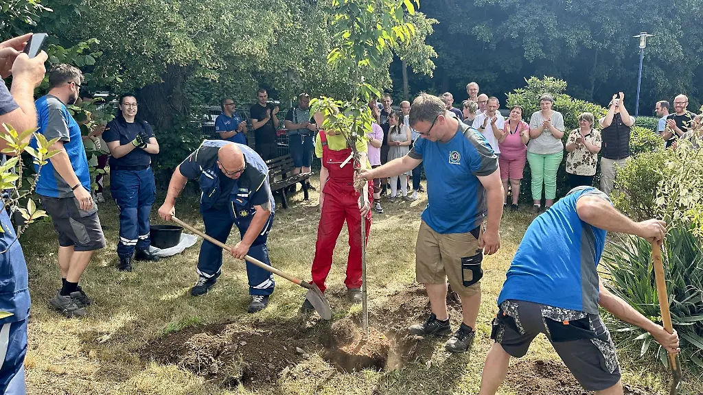 Sachsen-ist-im-Pflanzfieber-Bei-der-aktuellen-Baumpflanzchallenge-greifen-Feuerwehren-Vereine-und-Buergermeister-vielerorts-zum-Spaten