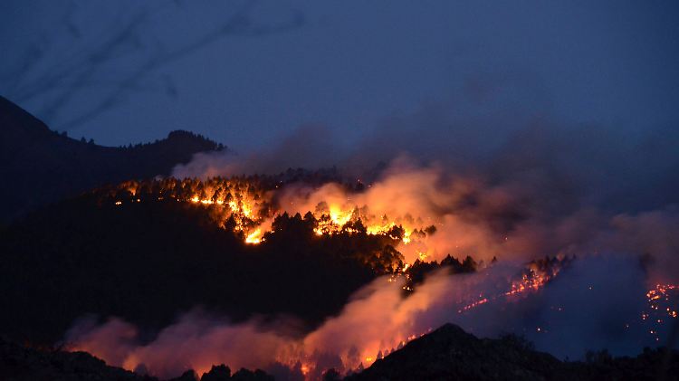 Wie hier auf La Palma sind auf mehreren Inseln die Brände schwer zu bändigen.