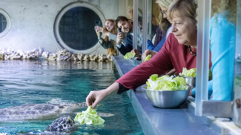 Angela-Merkel-ist-nach-Stralsund-gekommen-Anlass-war-unter-anderem-ein-Festakt-zum-Abschluss-der-Modernisierung-des-Meeresmuseums