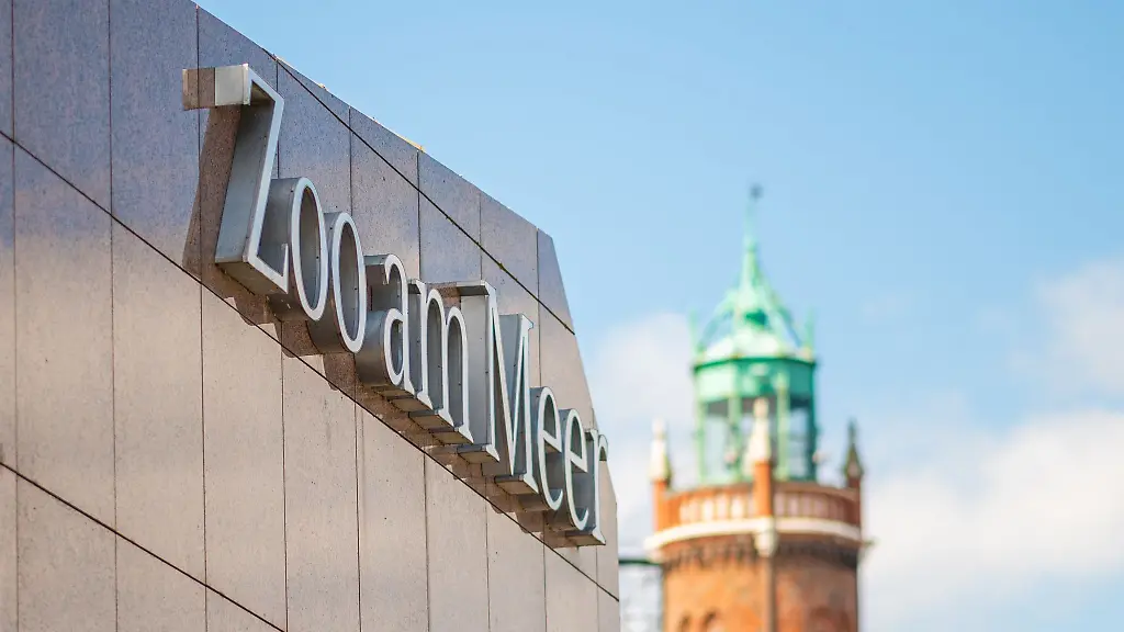 Die-Mutter-des-Jungtiers-geht-es-laut-Zoo-inzwischen-wieder-besser