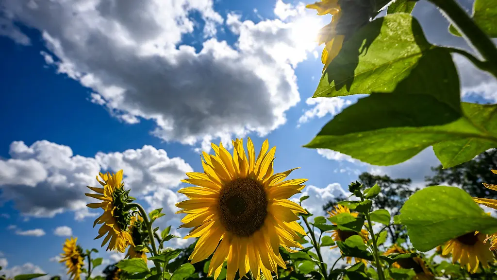 31-Grad-in-Artern-nur-Tage-spaeter-kaum-mehr-als-zehn-und-dazu-noch-mehr-Regen-und-Sonne-als-sonst-Der-September-brachte-in-Thueringen-das-Wetter-der-Gegensaetze