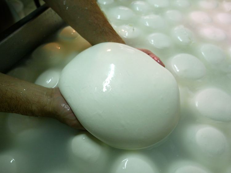 Mozarella ist beliebt. Und nur billig, wenn er aus Kuhmilch ist und nicht in Kampanien hergestellt wurde.