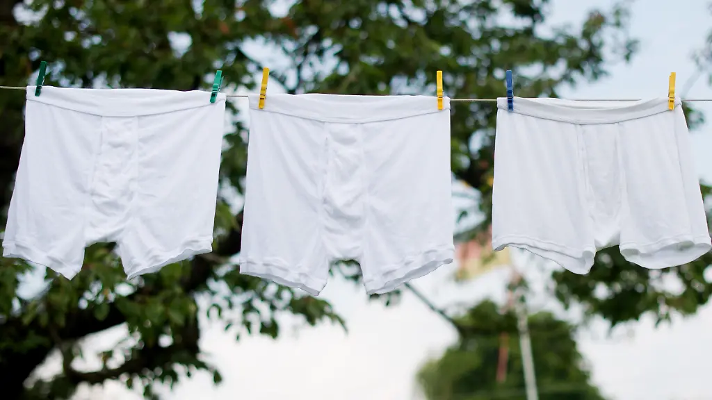 cc89169add70ab24f988bf850e3e8b50